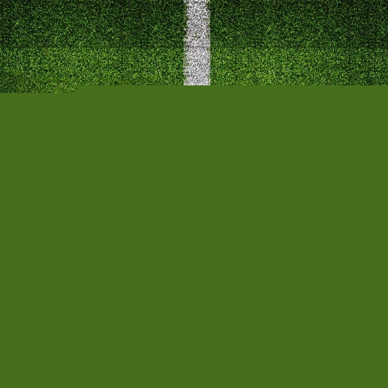 西完成续约 西完成续约