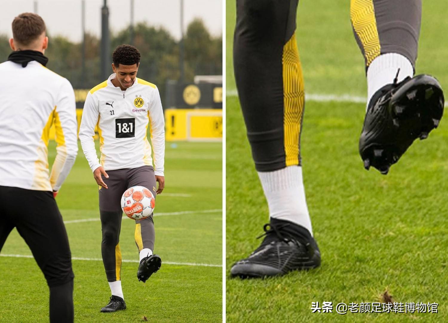 继续为雄鹿 继续为雄鹿