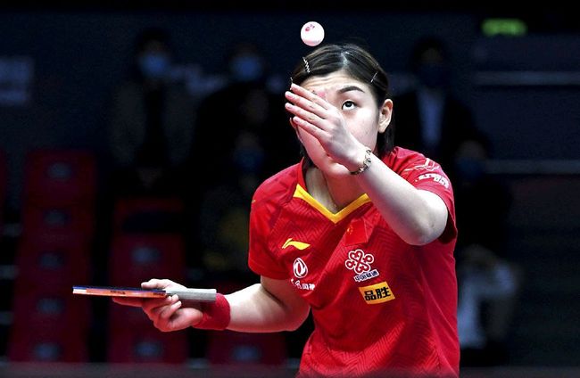 世界杯的小 世界杯的小