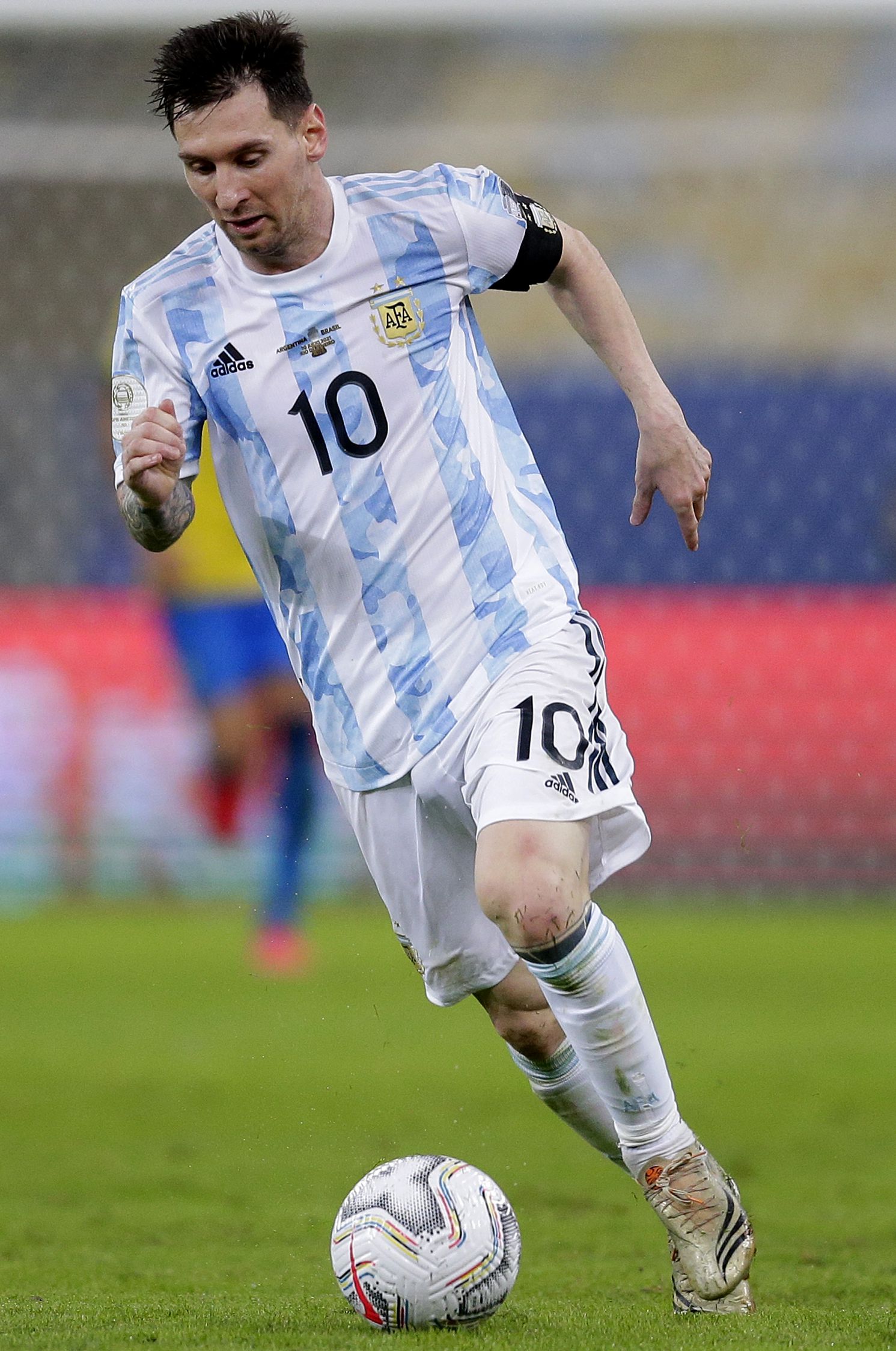 适应能力 适应能力